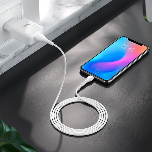 Сетевое зарядное устройство Hoco N2 Vigour с 1USB/2.1A с гибким кабелем Type-C Белый